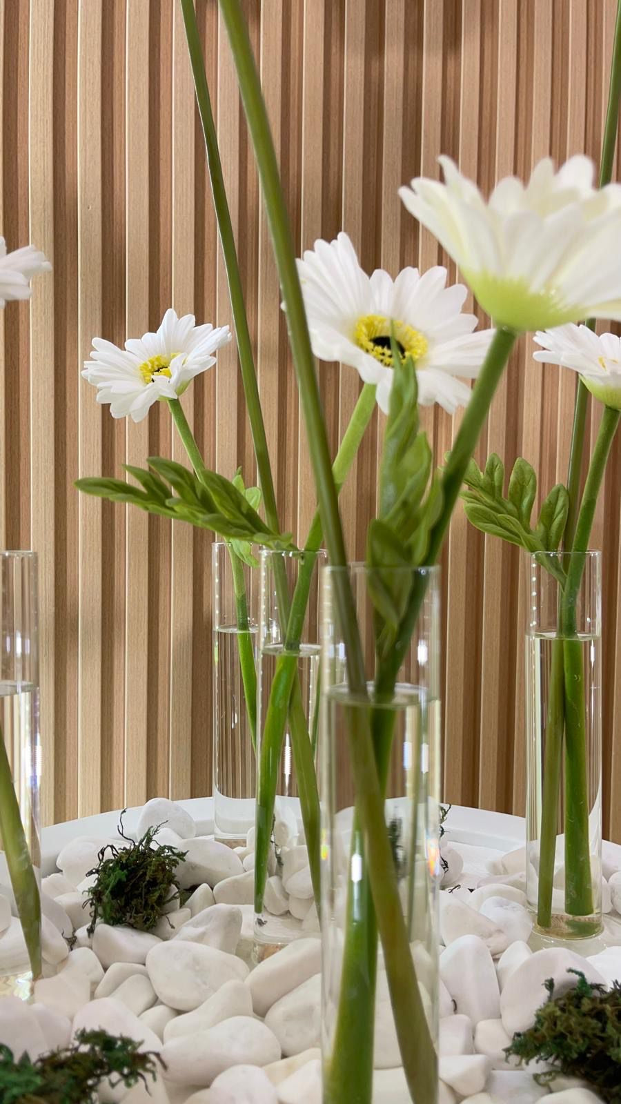 Stage - Twenty Eight