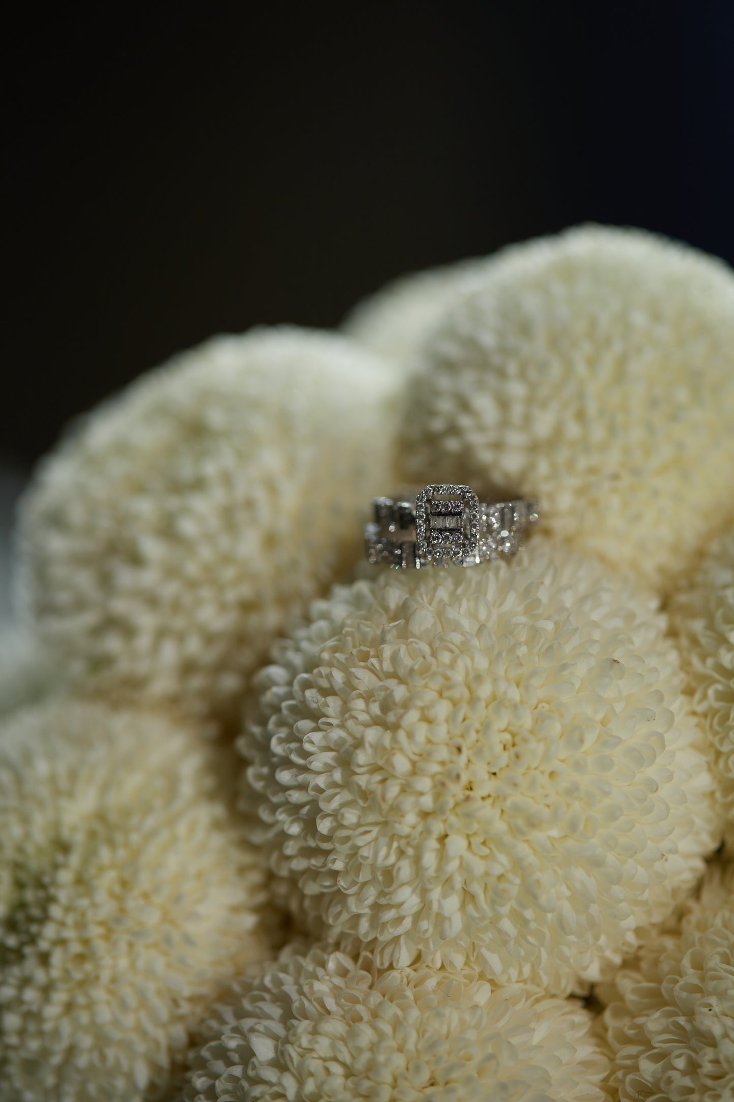( At Hall ) Bride - Groom photography